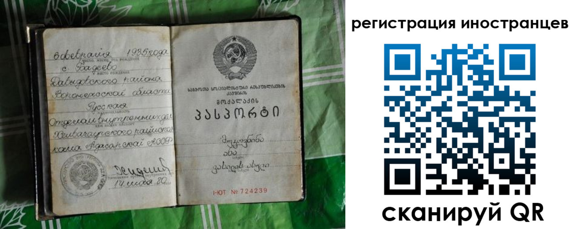 где прописаться в Карталах